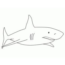 Dibujo para colorear: Tiburón (Animales) #14766 - Dibujos para Colorear e Imprimir Gratis