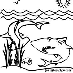 Dibujo para colorear: Tiburón (Animales) #14831 - Dibujos para Colorear e Imprimir Gratis