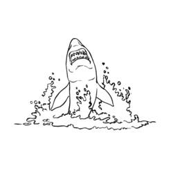 Dibujo para colorear: Tiburón (Animales) #14867 - Dibujos para Colorear e Imprimir Gratis
