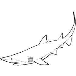 Dibujo para colorear: Tiburón (Animales) #14871 - Dibujos para Colorear e Imprimir Gratis