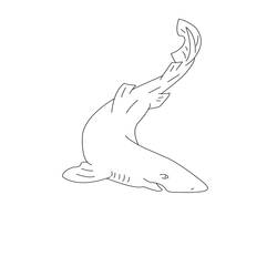 Dibujo para colorear: Tiburón (Animales) #14907 - Dibujos para Colorear e Imprimir Gratis