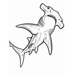 Dibujo para colorear: Tiburón martillo (Animales) #220992 - Dibujos para Colorear e Imprimir Gratis