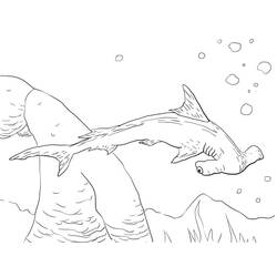 Dibujo para colorear: Tiburón martillo (Animales) #221013 - Dibujos para Colorear e Imprimir Gratis
