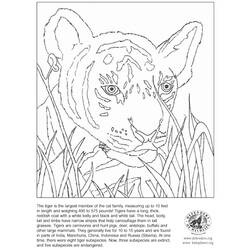 Dibujo para colorear: Tigre (Animales) #13627 - Dibujos para Colorear e Imprimir Gratis