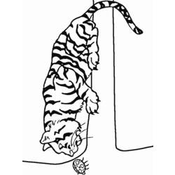 Dibujo para colorear: Tigre (Animales) #13651 - Dibujos para Colorear e Imprimir Gratis