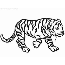 Dibujo para colorear: Tigre (Animales) #13781 - Dibujos para Colorear e Imprimir Gratis