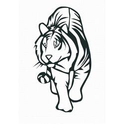 Dibujo Tigre (Animales) #174911 para imprimir y colorear