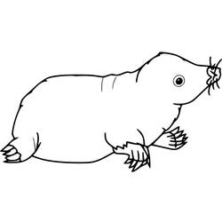 Dibujo Topo (Animales) #210774 para imprimir y colorear