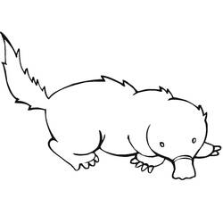 Dibujo Topo (Animales) #210779 para imprimir y colorear