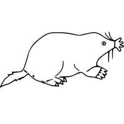 Dibujo Topo (Animales) #210781 para imprimir y colorear