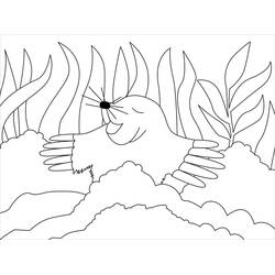 Dibujo Topo (Animales) #210783 para imprimir y colorear