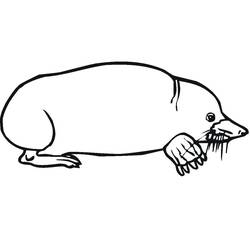 Dibujo Topo (Animales) #210785 para imprimir y colorear