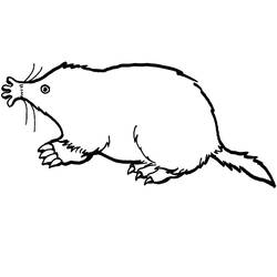 Dibujo Topo (Animales) #210792 para imprimir y colorear