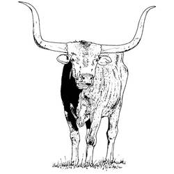 Dibujo para colorear: Toro (Animales) #13788 - Dibujos para Colorear e Imprimir Gratis