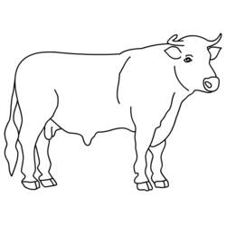 Dibujo para colorear: Toro (Animales) #13789 - Dibujos para Colorear e Imprimir Gratis