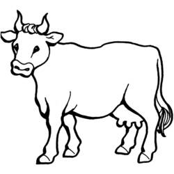 Dibujo para colorear: Toro (Animales) #13806 - Dibujos para Colorear e Imprimir Gratis