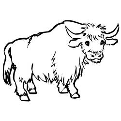 Dibujo para colorear: Toro (Animales) #13817 - Dibujos para Colorear e Imprimir Gratis