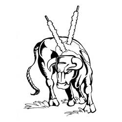 Dibujo para colorear: Toro (Animales) #13836 - Dibujos para Colorear e Imprimir Gratis