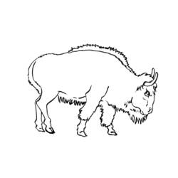 Dibujo para colorear: Toro (Animales) #13855 - Dibujos para Colorear e Imprimir Gratis
