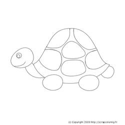 Dibujo para colorear: Tortuga (Animales) #13437 - Dibujos para Colorear e Imprimir Gratis