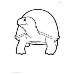 Dibujo para colorear: Tortuga (Animales) #13526 - Dibujos para Colorear e Imprimir Gratis