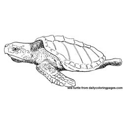 Dibujo para colorear: Tortuga (Animales) #13583 - Dibujos para Colorear e Imprimir Gratis