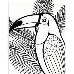 Dibujos para colorear: Tucán - Dibujos para Colorear e Imprimir Gratis