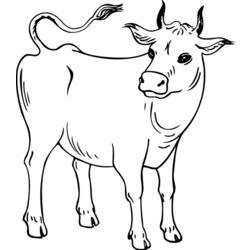 Dibujo para colorear: Vaca (Animales) #13248 - Dibujos para Colorear e Imprimir Gratis