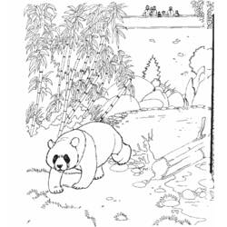 Dibujo para colorear: Zoo (Animales) #12641 - Dibujos para Colorear e Imprimir Gratis