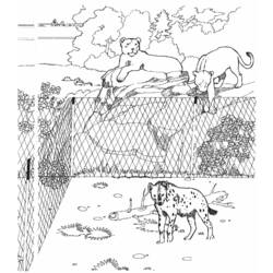 Dibujo para colorear: Zoo (Animales) #12653 - Dibujos para Colorear e Imprimir Gratis