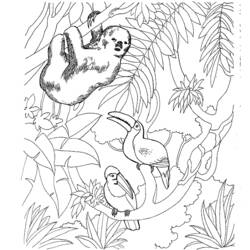 Dibujo para colorear: Zoo (Animales) #12655 - Dibujos para Colorear e Imprimir Gratis
