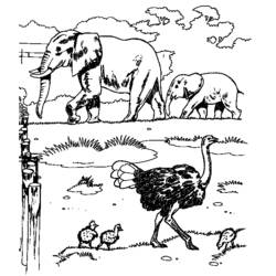 Dibujo para colorear: Zoo (Animales) #12659 - Dibujos para Colorear e Imprimir Gratis
