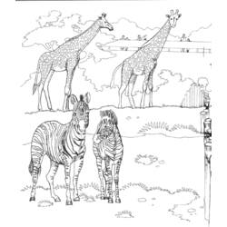 Dibujo para colorear: Zoo (Animales) #12677 - Dibujos para Colorear e Imprimir Gratis
