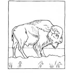 Dibujo para colorear: Zoo (Animales) #12685 - Dibujos para Colorear e Imprimir Gratis