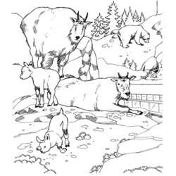 Dibujo para colorear: Zoo (Animales) #12713 - Dibujos para Colorear e Imprimir Gratis