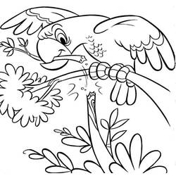 Dibujo para colorear: Zoo (Animales) #12716 - Dibujos para Colorear e Imprimir Gratis