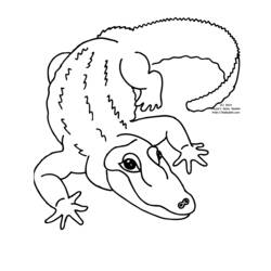 Dibujo para colorear: Zoo (Animales) #12735 - Dibujos para Colorear e Imprimir Gratis