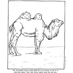 Dibujo para colorear: Zoo (Animales) #12750 - Dibujos para Colorear e Imprimir Gratis