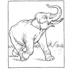 Dibujo para colorear: Zoo (Animales) #12753 - Dibujos para Colorear e Imprimir Gratis