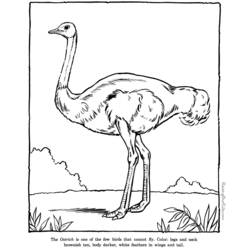Dibujo para colorear: Zoo (Animales) #12773 - Dibujos para Colorear e Imprimir Gratis
