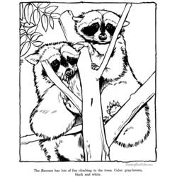 Dibujo para colorear: Zoo (Animales) #12780 - Dibujos para Colorear e Imprimir Gratis