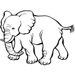Dibujo para colorear: Zoo (Animales) #12787 - Dibujos para Colorear e Imprimir Gratis