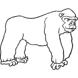 Dibujo para colorear: Zoo (Animales) #12813 - Dibujos para Colorear e Imprimir Gratis