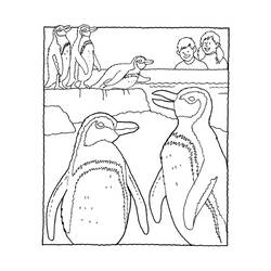 Dibujo para colorear: Zoo (Animales) #12817 - Dibujos para Colorear e Imprimir Gratis