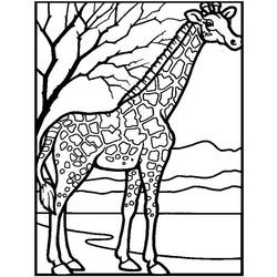 Dibujo para colorear: Zoo (Animales) #12818 - Dibujos para Colorear e Imprimir Gratis