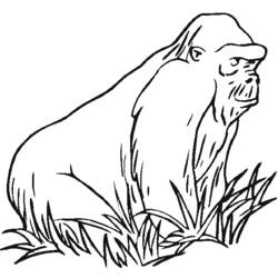 Dibujo para colorear: Zoo (Animales) #12819 - Dibujos para Colorear e Imprimir Gratis