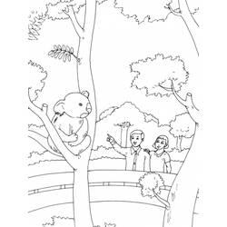 Dibujo para colorear: Zoo (Animales) #12831 - Dibujos para Colorear e Imprimir Gratis