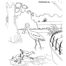 Dibujo para colorear: Zoo (Animales) #12833 - Dibujos para Colorear e Imprimir Gratis