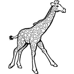 Dibujo para colorear: Zoo (Animales) #12841 - Dibujos para Colorear e Imprimir Gratis