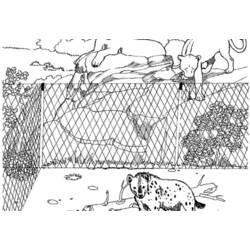 Dibujo para colorear: Zoo (Animales) #12846 - Dibujos para Colorear e Imprimir Gratis